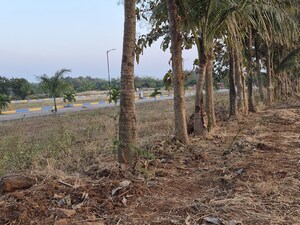 Plot Area in  Plot at Gamanagatti – for Sale