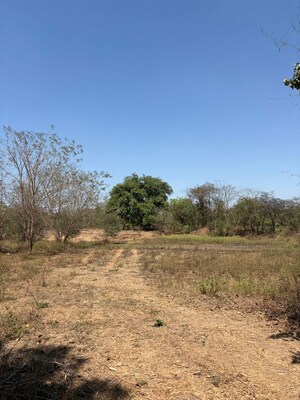  Plot For Rent in Gidc