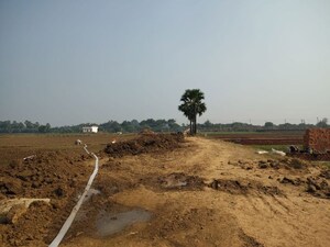 Plot Area in  Plot at Beldarichak – for Sale