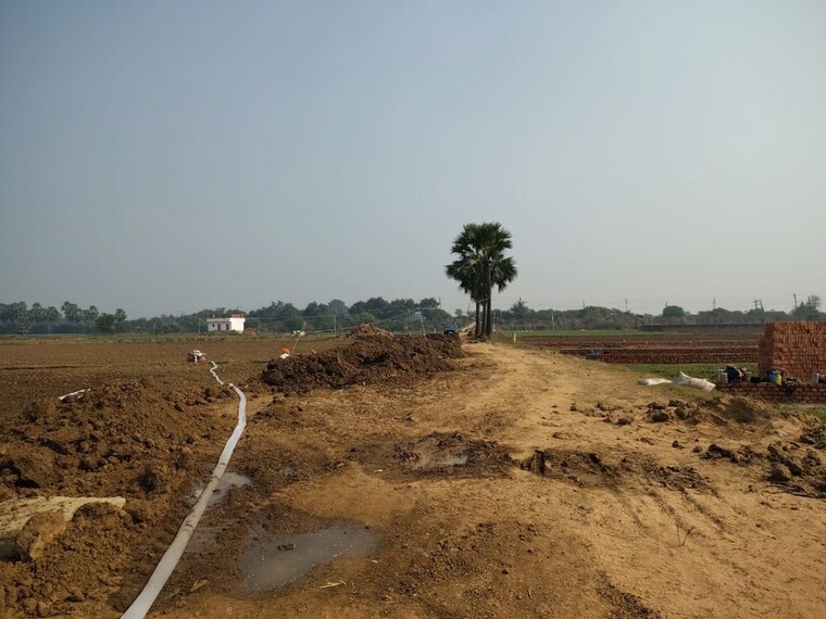 undefined, beldarichak  1800 Sq.Ft. Plot In Beldarichak Patna 10278741
