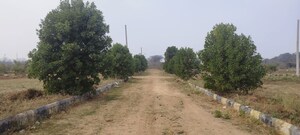 Plot Area in  Plot at Shadnagar – for Sale