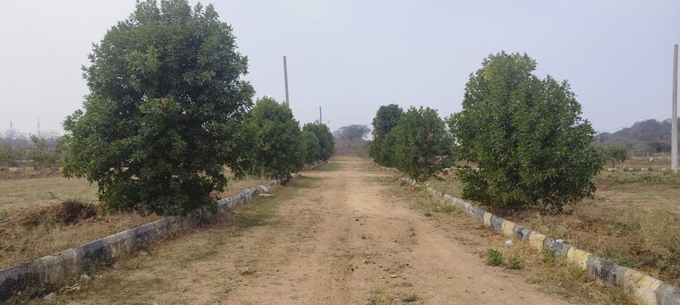 undefined, shadnagar  101 Sq.Yd. Plot In Shadnagar Hyderabad 10278882