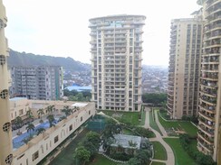 2 BHK Apartment For Rent in Tulipia And Tilia Apartment