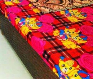  Pg For Rent in Gomti Nagar