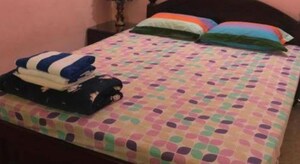  Pg For Rent in Gomti Nagar