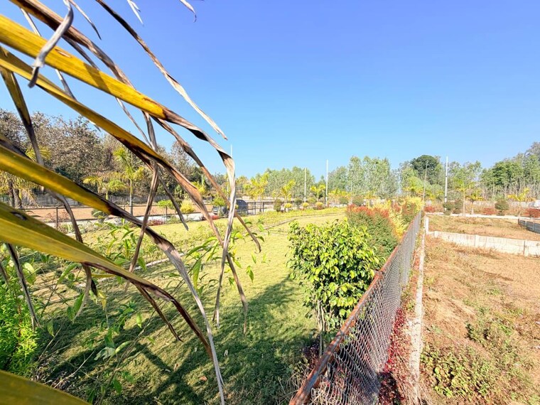 Garden, biharigarh  110 Sq.Yd. Plot In Biharigarh Dehradun 10268578