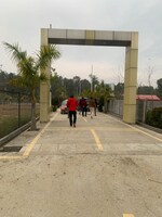 110 Sq.Yd. Plot in Biharigarh