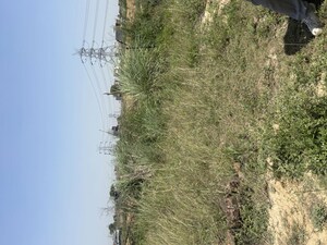 Plot Area in  Plot at Raj Nagar Extension – for Sale