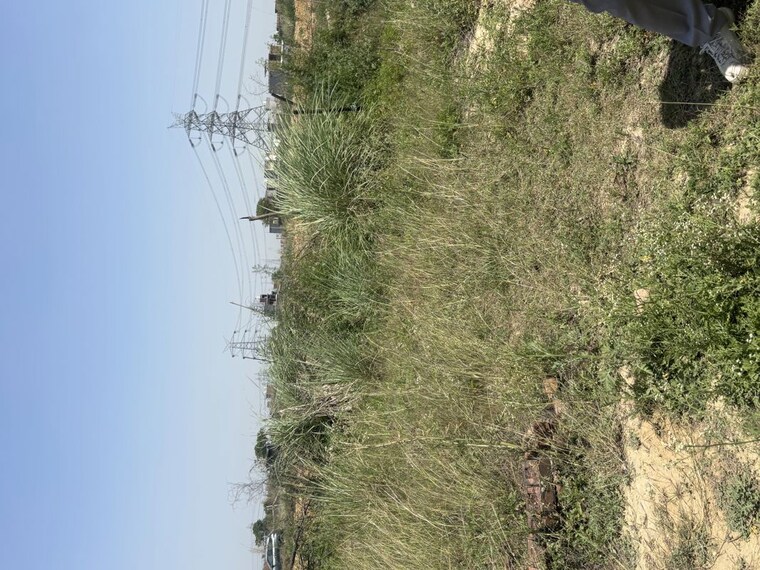 undefined, raj nagar extension  100 Sq.Yd. Plot In Raj Nagar Extension Ghaziabad 10278977