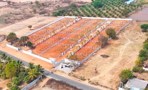 Plot Area in  Plot at Keesara – for Sale