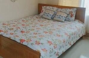  Pg For Rent in Gomti Nagar