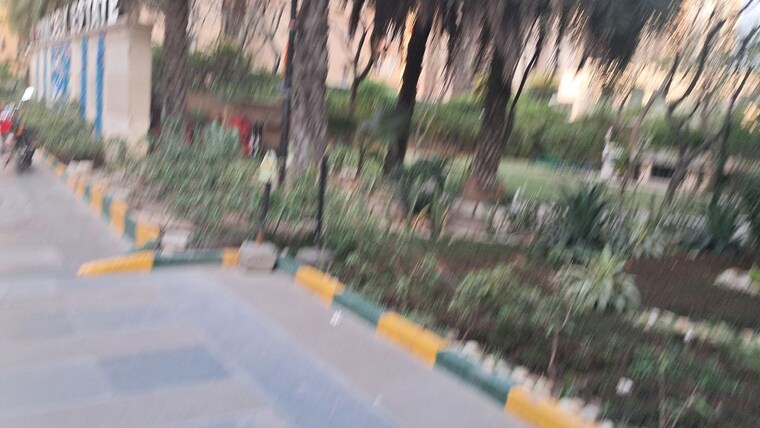 Garden, amrapali-princely-estate 3 Bedroom 1315 Sq.Ft. Apartment In Sector 76 Noida 10279191