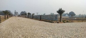 Plot Area in  Plot at Gosainganj – for Sale