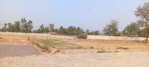 Plot Area in  Plot at Gosainganj – for Sale
