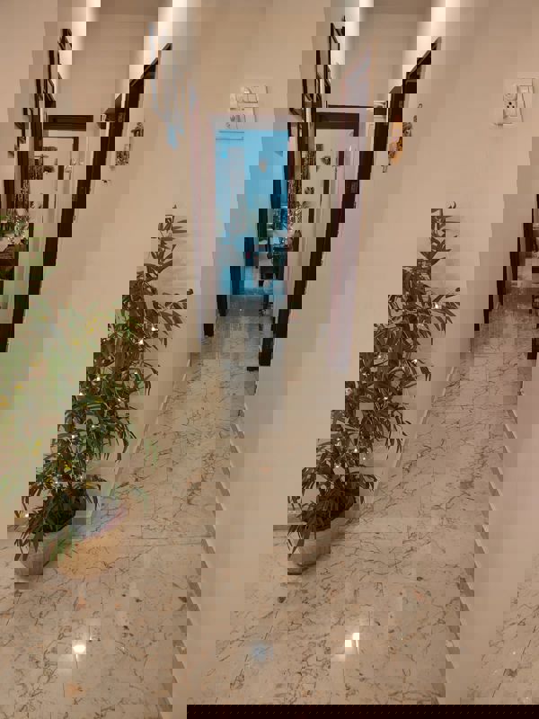 3 BHK + Pooja Room 1636 Sq.Ft. Apartment in Eden Garden Phase II Plots