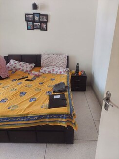 2.5 BHK Apartment For Rent in Pareena Coban Residences