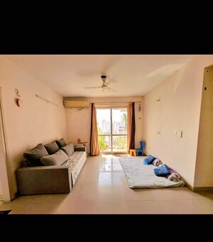 3 BHK Builder Floor For Rent in Sector 51