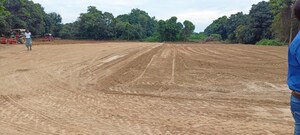 Plot Area in  Plot at Sultanpur – for Sale