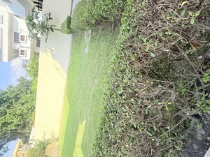 2 BHK Independent House For Rent in Sector 105