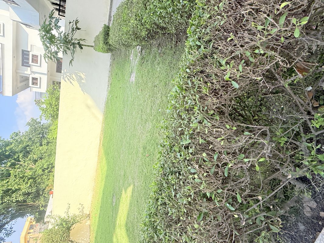 2 BHK + Extra Room Independent House For Rent in Sector 105