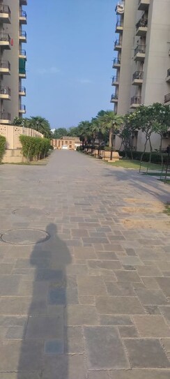 3.5 BHK Apartment For Rent in BPTP Park Elite Premium