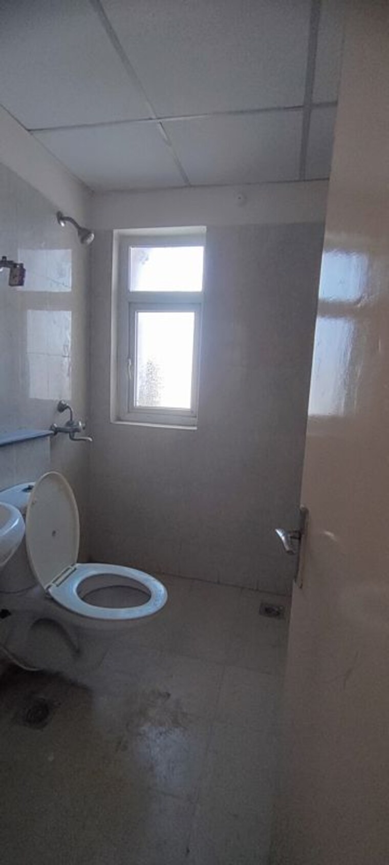Bathroom, bptp-park-elite-premium 3.5 Bedroom 1546 Sq.Ft. Apartment In Sector 84 Faridabad 10280314