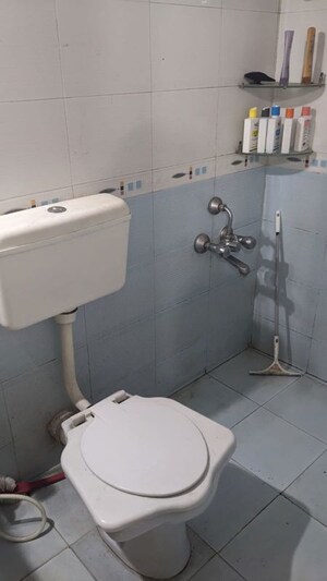 Bathroom in 2 BHK Apartment at Hubtown Akruti Orchid Park, Sakinaka – for Rent