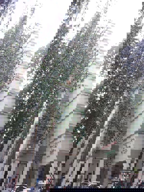 2 BHK 950 Sq.Ft. Apartment in Mathura Vihar CHS