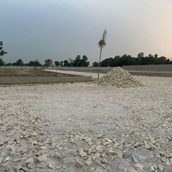 Plot For Sale in Jattari