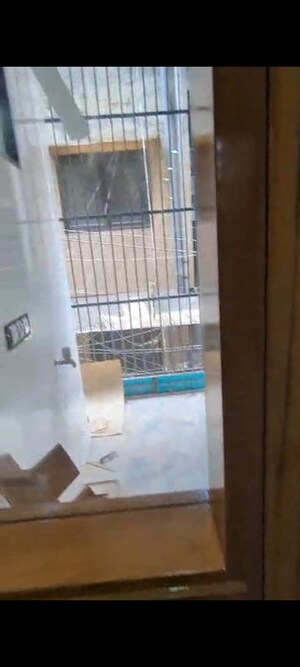 Balcony in 2 BHK Builder Floor at Lajpat Nagar ii – for Rent