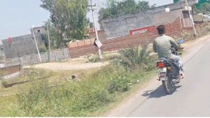 Plot Area in  Plot at Sevai – for Sale