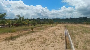 Plot Area in  Plot at Chikkaballapur – for Sale