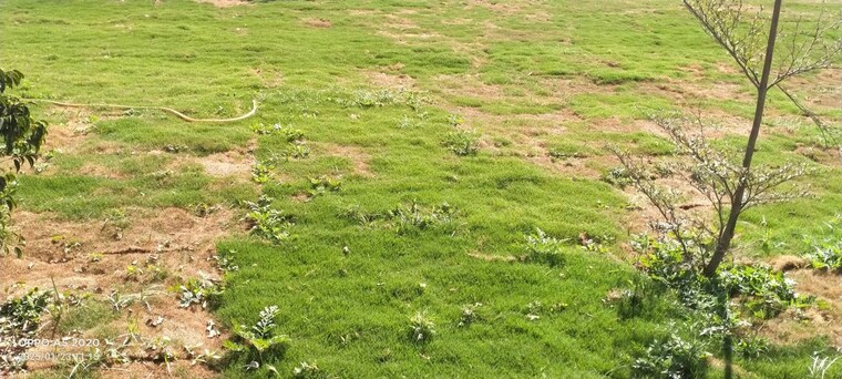 Garden, sector 20  1500 Sq.Ft. Plot In Sector 20 Panchkula 10282269