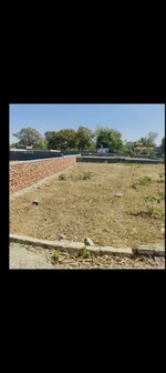 275 Sq.Yd. Plot in Sector 80