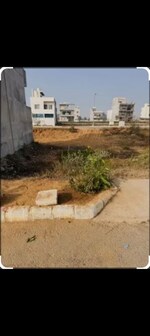 384 Sq.Yd. Plot in Sector 80