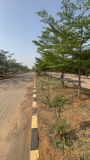 Plot Area in  Plot at Turkapally – for Sale