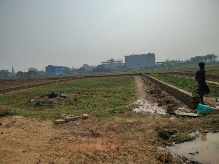 undefined, baronwala  2315 Sq.Ft. Plot In Baronwala Dehradun 10282104