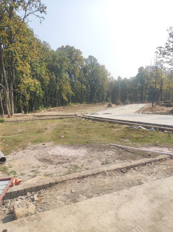 Plot For Sale in Pondha