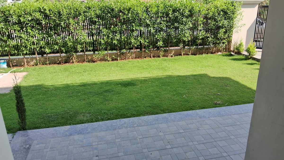 4 BHK Independent House For Rent in Phase 10