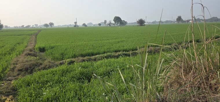 undefined, jewar  8263 Sq.Ft. Plot In Jewar Greater Noida 10283234