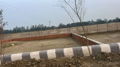 Plot For Sale in Gosainganj