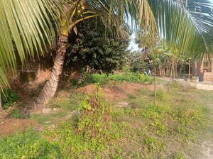  Plot For Sale in Kolkatta Gpo