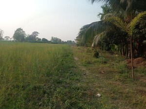 Plot Area in  Plot at Kolkatta Gpo – for Sale