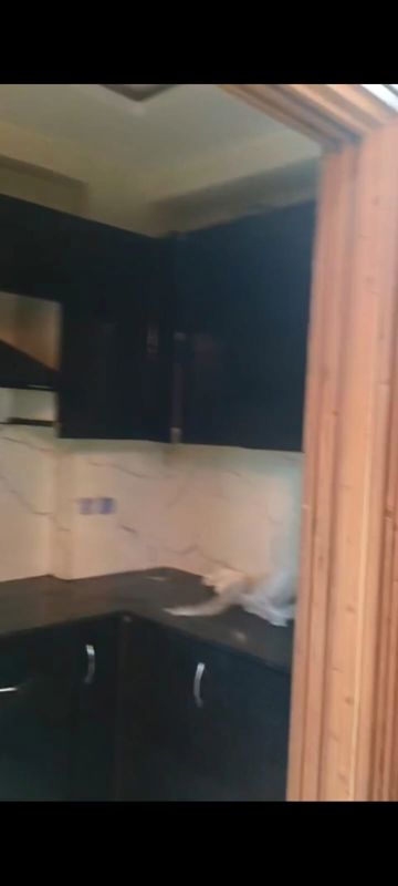 2 BHK 950 Sq.Ft. Builder Floor in Golden Wave Dwarika City