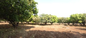 Plot Area in  Land at Manneguda – for Sale