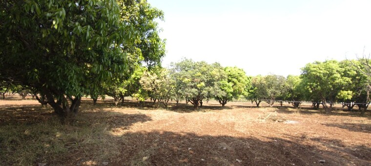 undefined, manneguda Commercial Land 7260 Sq.Yd. In Manneguda Hyderabad 10283893