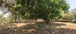 Plot Area in  Land at Manneguda – for Sale