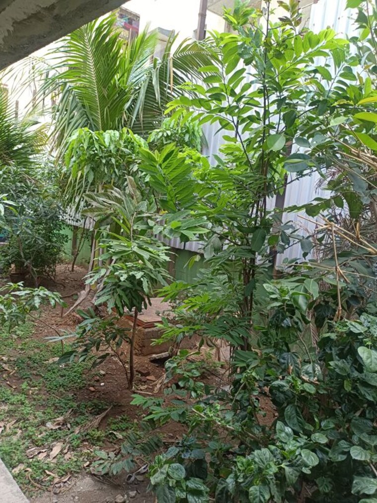 Garden, mantri-serene 2 Bedroom 970 Sq.Ft. Apartment In Goregaon East Mumbai 10284055