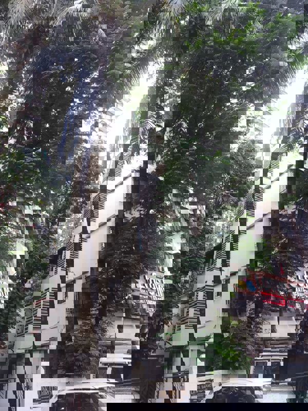 1 BHK 650 Sq.Ft. Apartment in Link Bird CHS