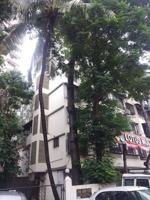 1 BHK Apartment For Rent in Link Bird CHS, Borivali West